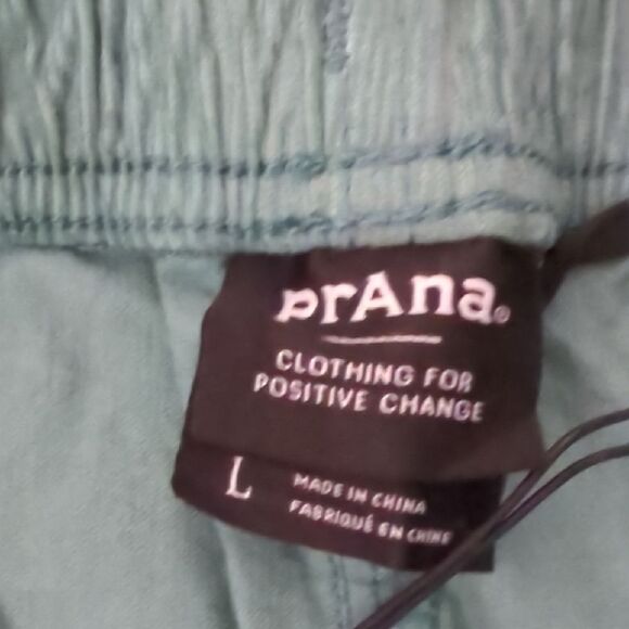 Prana Teal Shorts - Picture 8 of 9